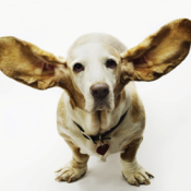 Listening is the most important storytelling skill